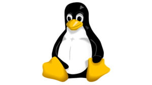 linux_penguin-580-90